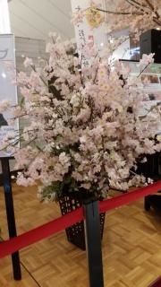 玉名温泉