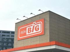 ザ・ビッグ　平塚真田店