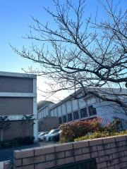 高島小学校