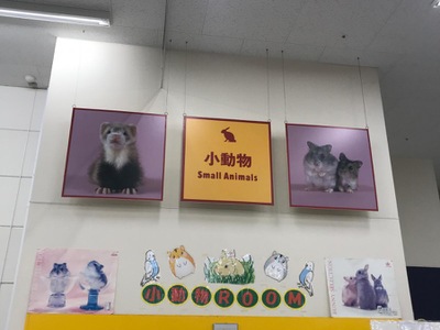 マーケットピア 五条ペットミスターマックス筑紫野店 筑紫野市原田