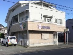 ケイ動物病院