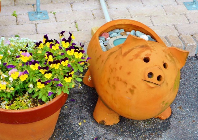 投稿写真1