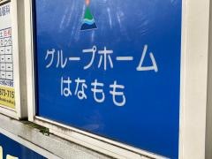 はなもも