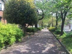 第三十六号水道みち緑道