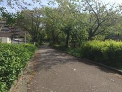 第三十六号水道みち緑道