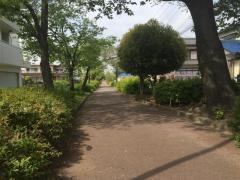 第三十六号水道みち緑道