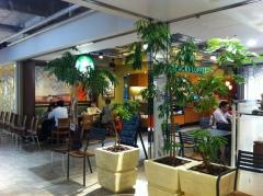 スターバックスコーヒー　新宿マルイ本館8階店