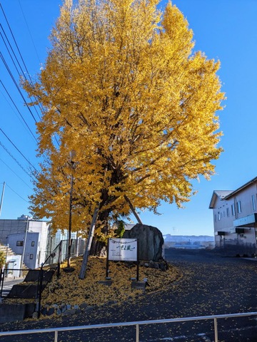 下館ケアセンターそよ風