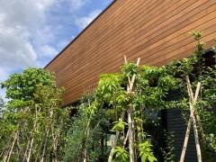 スターバックスコーヒー小山宮本店