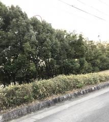 通曲公園