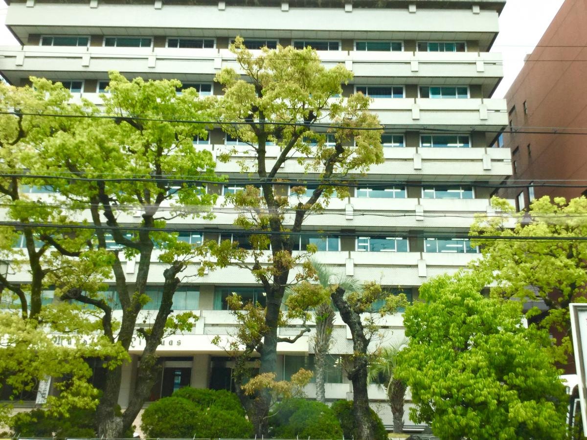 京都外国語大学