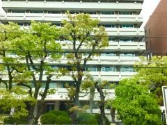 京都外国語大学