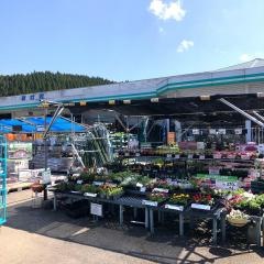 コメリハード＆グリーン　南小国店