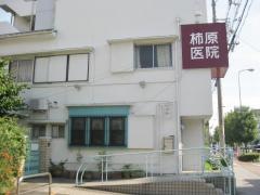 柿原医院