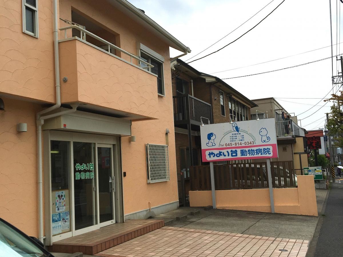 弥生台動物病院