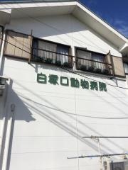 白塚口動物病院