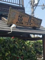 魚真