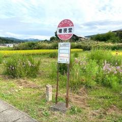 「権現堂」バス停留所
