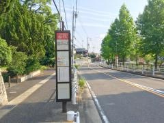 「自由ケ丘二丁目」バス停留所