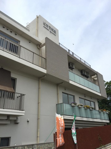 ビオラ和泉