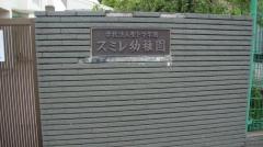 スミレ幼稚園