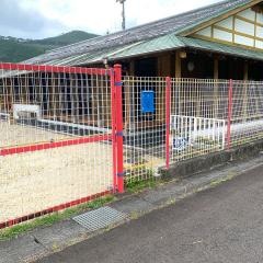 ちかの保育園
