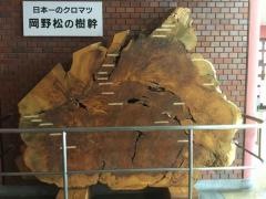 高松市立牟礼公民館