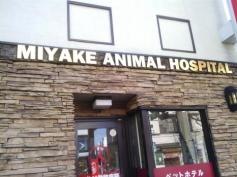 みやけ動物病院
