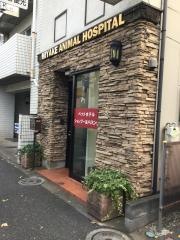 みやけ動物病院
