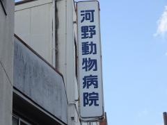 河野動物病院