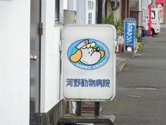 河野動物病院