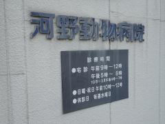 河野動物病院