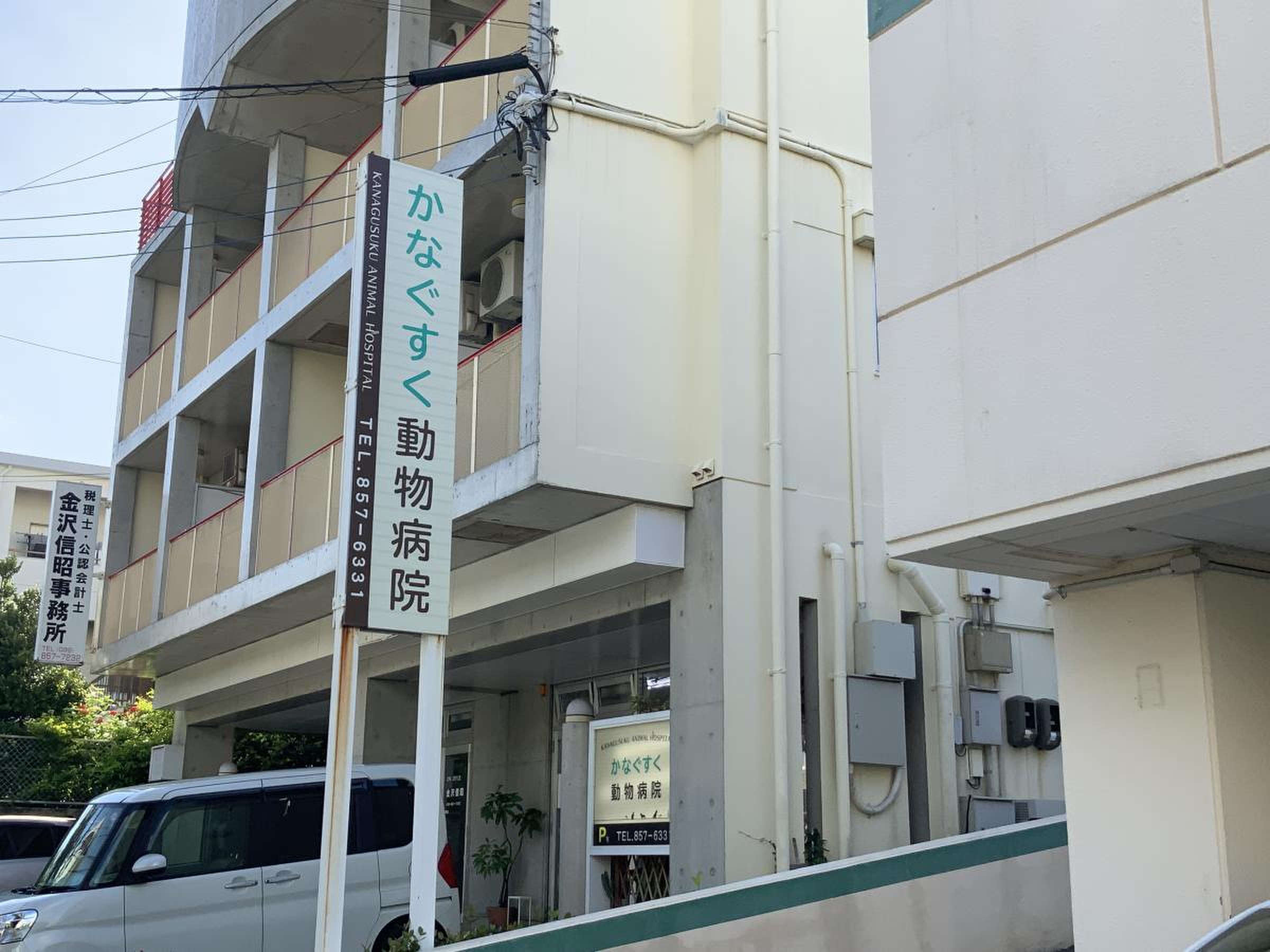 金城 動物 病院