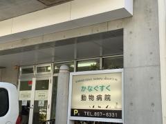 金城動物クリニック