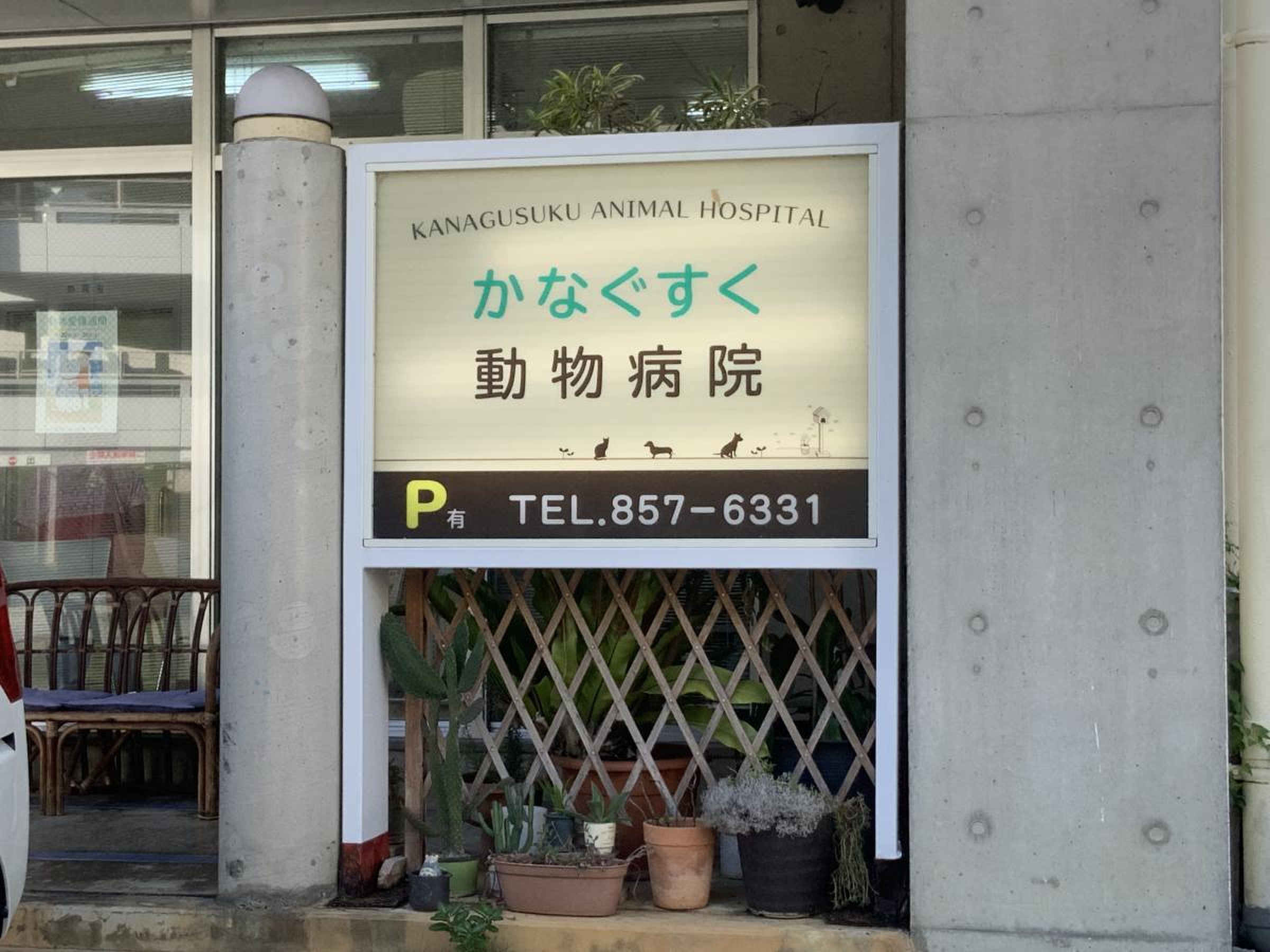 金城 動物 病院