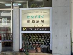 金城動物クリニック