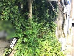 瓢亭