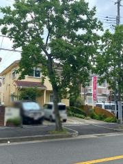 レディースオステオパシー藤沢台