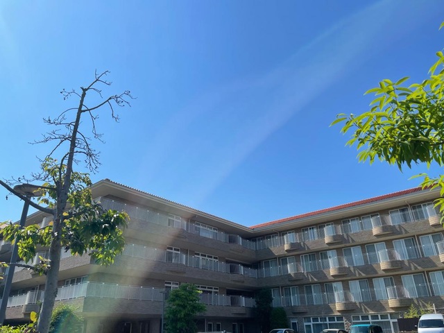 すばる
