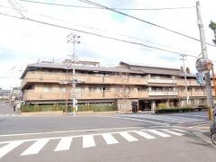 紫野