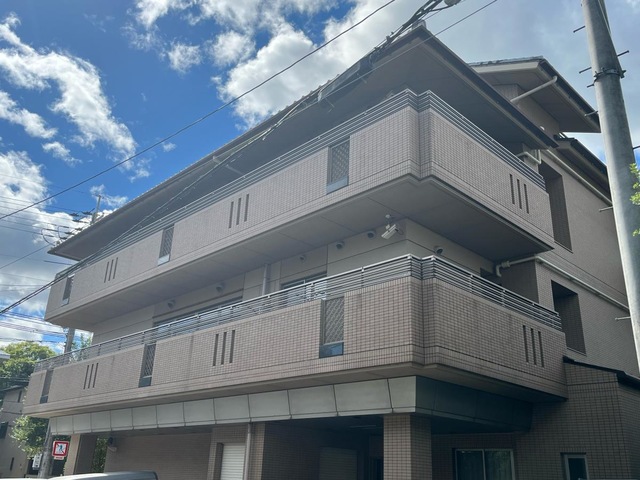 紫野
