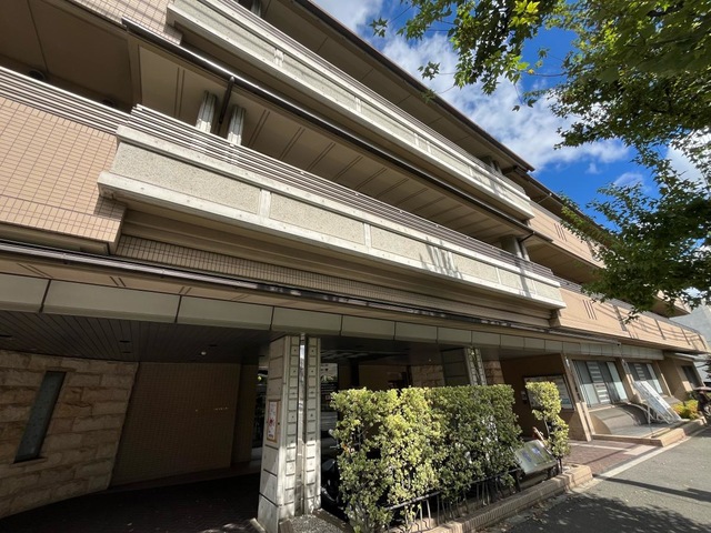 紫野