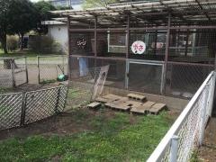細谷小学校