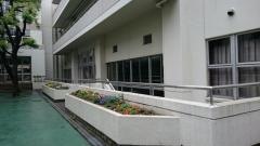 芝小学校