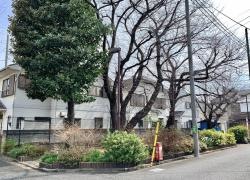 桜童園緑地