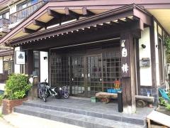 白樺