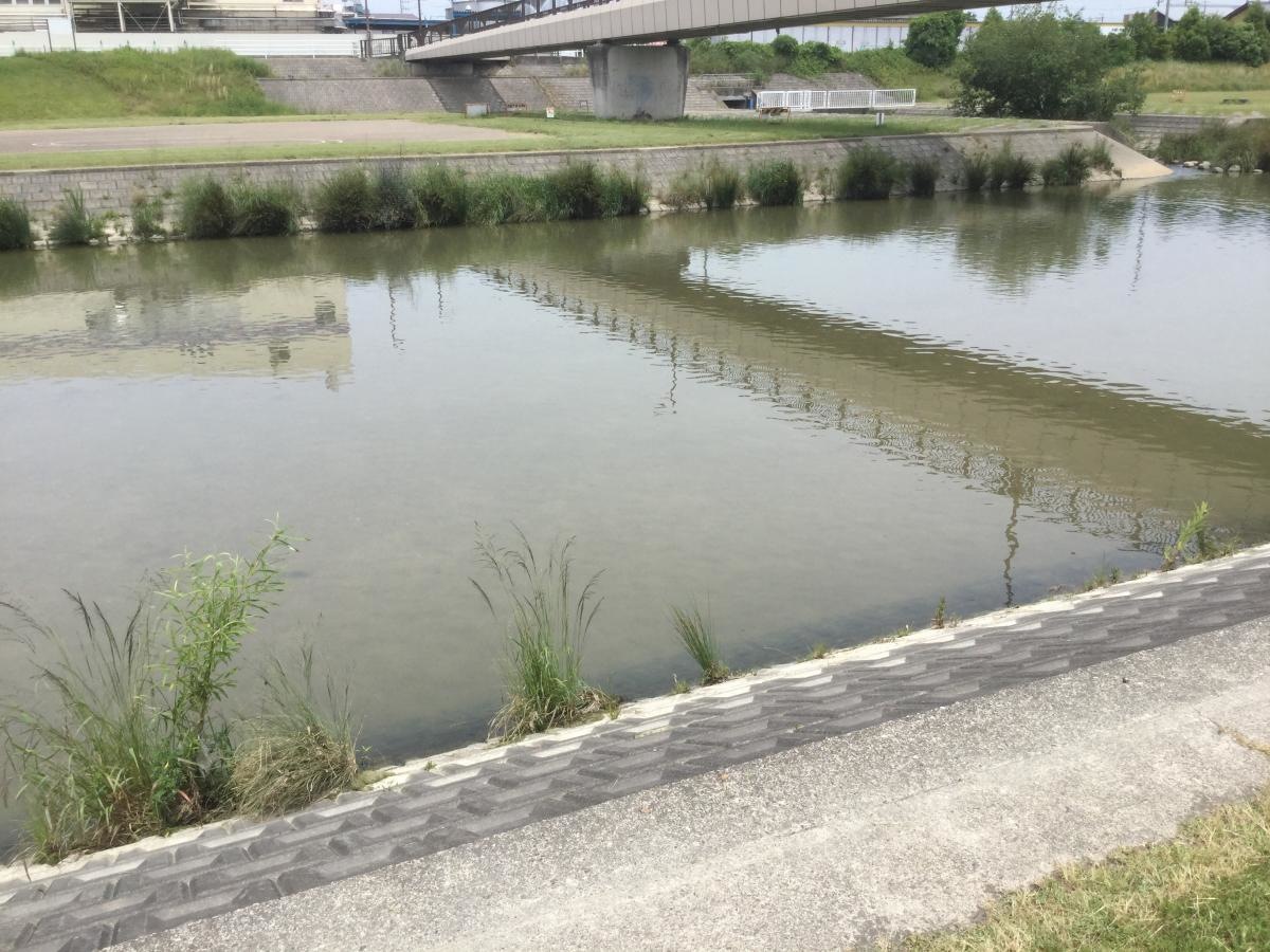 矢田川河川緑地