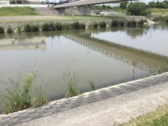 矢田川河川緑地