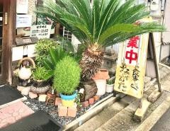 そば処ながた