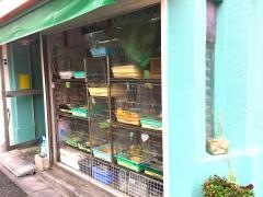 日の出屋ペットショップ　本店